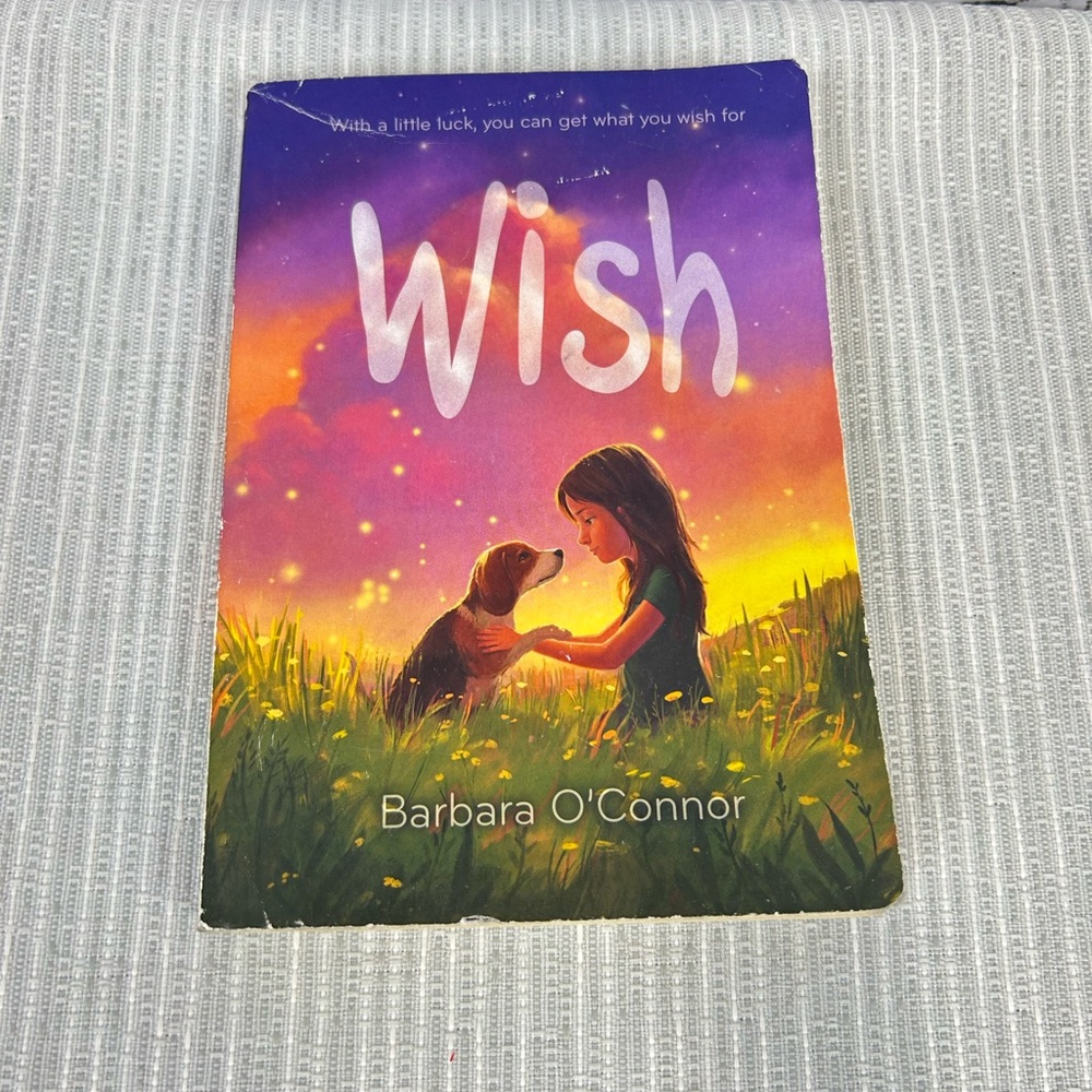 Wish Novel by Barbara O'Connor Soft Cover Book